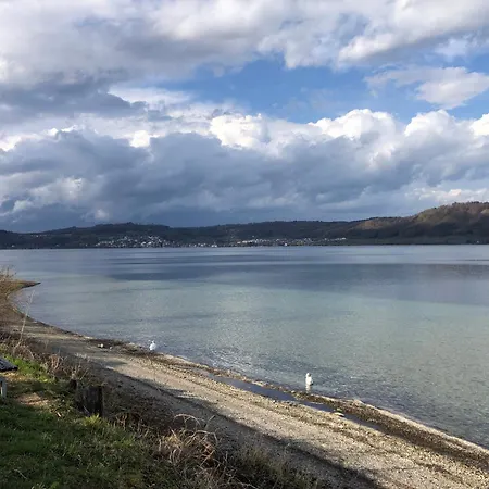 Daire Maier *